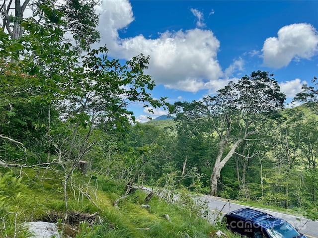 255/256 Grouse Moor Dr Unit 255/256, Sugar Mountain, NC 28604