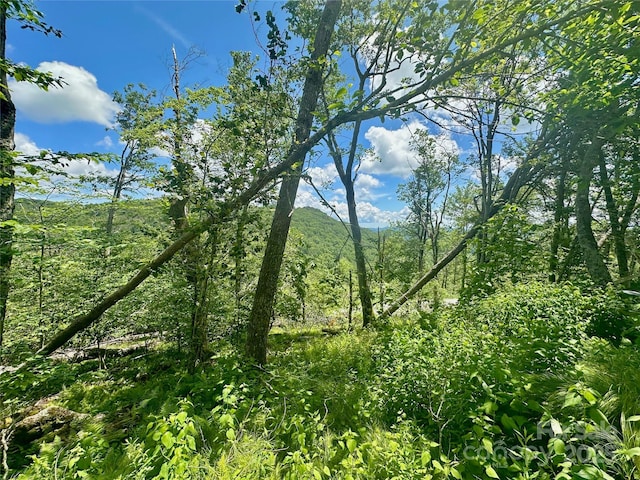 255/256 Grouse Moor Dr Unit 255/256, Sugar Mountain, NC 28604