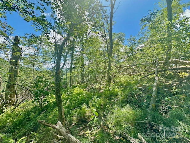 255/256 Grouse Moor Dr Unit 255/256, Sugar Mountain, NC 28604
