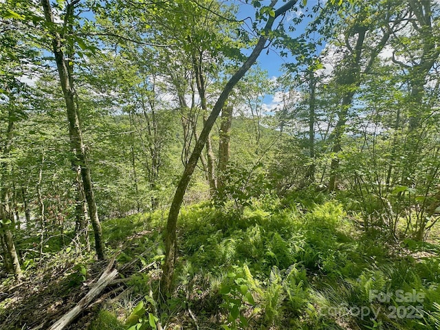 255/256 Grouse Moor Dr Unit 255/256, Sugar Mountain, NC 28604