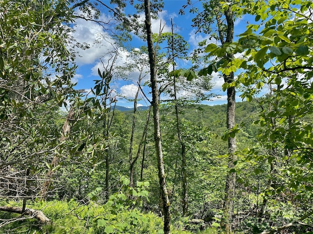 255/256 Grouse Moor Dr Unit 255/256, Sugar Mountain, NC 28604