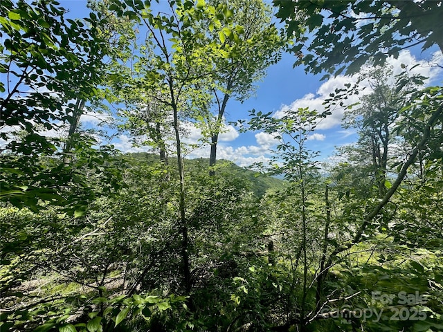 255/256 Grouse Moor Dr Unit 255/256, Sugar Mountain, NC 28604