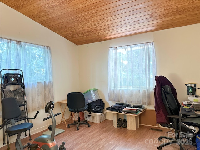171 Windy Hill Dr, Franklin, NC 28734 - office space featuring wood ceiling, healthy amount of natural light, wood finished floors, and lofted ceiling