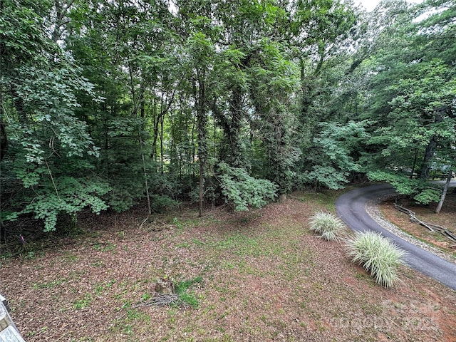 171 Windy Hill Dr, Franklin, NC 28734 - view of yard