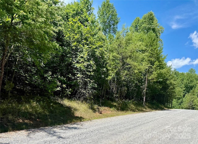 LOT98 Darrow Dr, Nebo, NC 28761 - photo 1