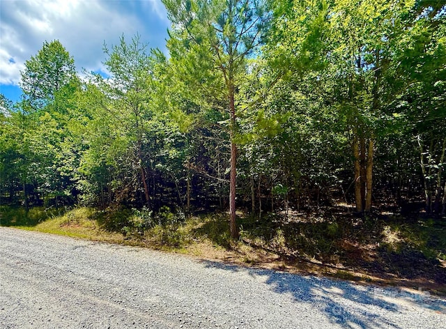 LOT98 Darrow Dr, Nebo, NC 28761 - photo 2