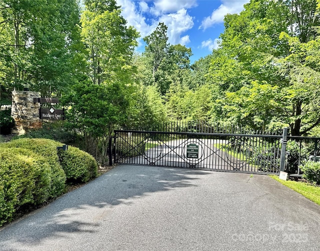 LOT98 Darrow Dr, Nebo, NC 28761 - photo 4