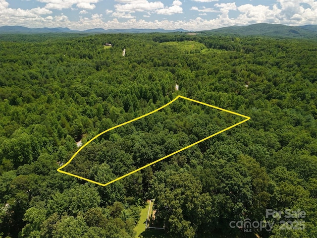 LOT98 Darrow Dr, Nebo, NC 28761 - photo 5