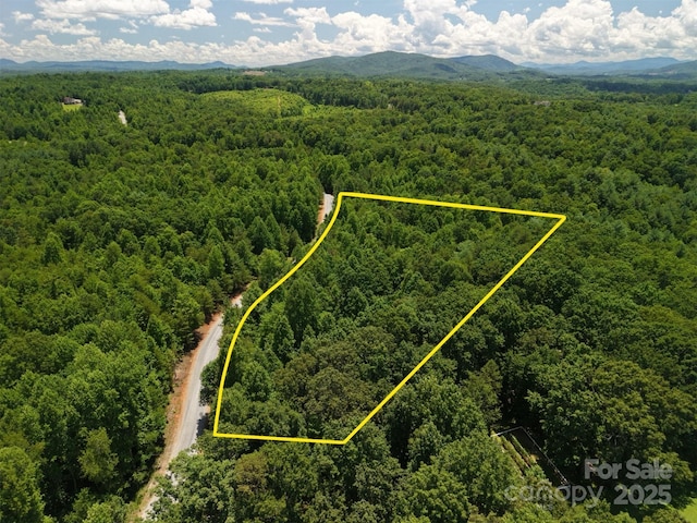 LOT98 Darrow Dr, Nebo, NC 28761 - photo 6