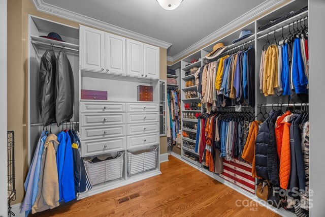 3211 Keady Mill Loop, Kannapolis, NC 28081 - walk in closet featuring light wood-style floors