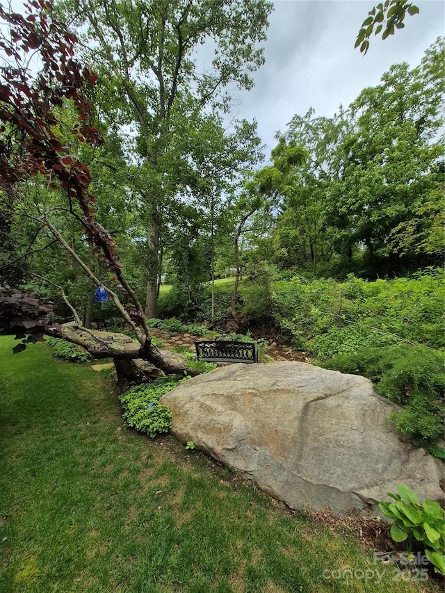 112 Twin Courts Dr, Weaverville, NC 28787 - photo 37