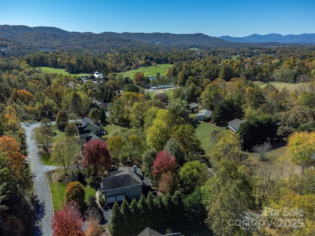 112 Twin Courts Dr, Weaverville, NC 28787 - photo 46