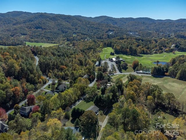 112 Twin Courts Dr, Weaverville, NC 28787 - photo 47