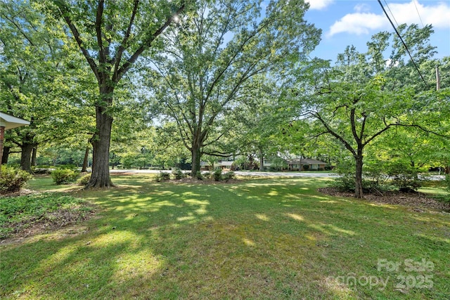 725 Plantation Rd, Lancaster, SC 29720 - view of green lawn