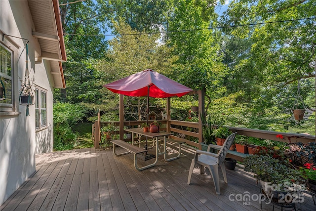 31 Samayoa Pl, Asheville, NC 28806 - photo 22