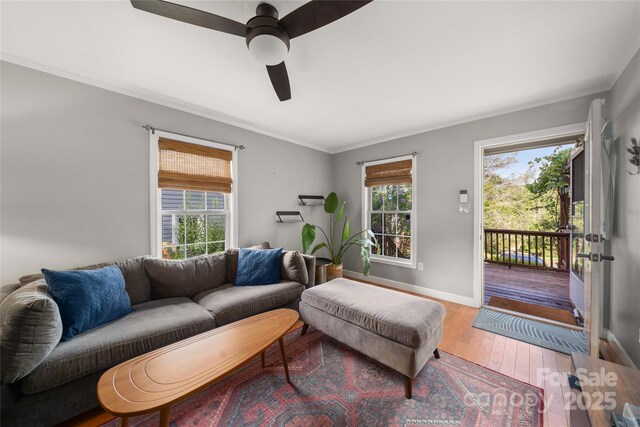 62 Rumbough Pl, Asheville, NC 28806 - photo 4