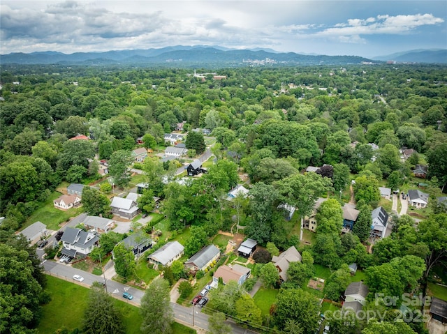 62 Rumbough Pl, Asheville, NC 28806 - photo 29