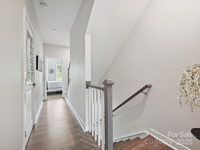 824 Broad River Ln, Charlotte, NC 28211 - photo 19