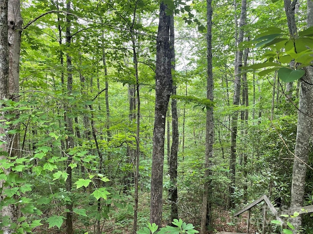 LT279 Cabin Flats Rd Unit 279, Balsam, NC 28707