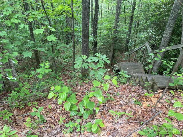 LT279 Cabin Flats Rd Unit 279, Balsam, NC 28707