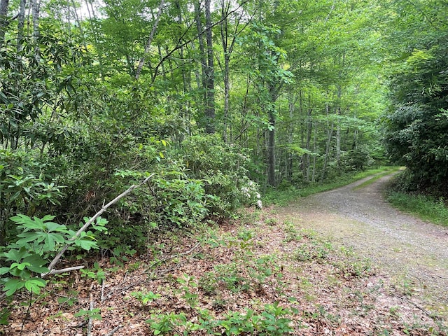 LT279 Cabin Flats Rd Unit 279, Balsam, NC 28707