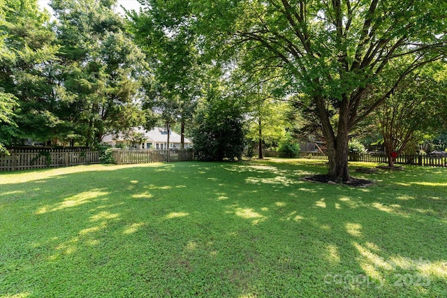13617 Merton Woods Ln, Charlotte, NC 28273 - photo 3