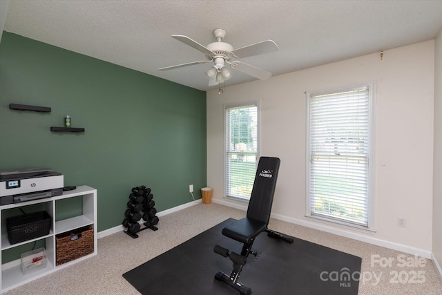 13617 Merton Woods Ln, Charlotte, NC 28273 - photo 18