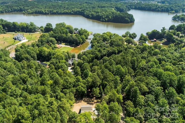 8333 Catawba Cove Dr, Belmont, NC 28012 - aerial view of a forest and a nearby body of water