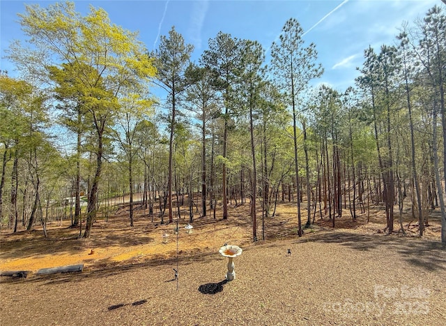 8333 Catawba Cove Dr, Belmont, NC 28012 - view of yard