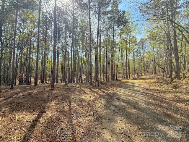 8333 Catawba Cove Dr, Belmont, NC 28012 - view of street featuring a wooded view