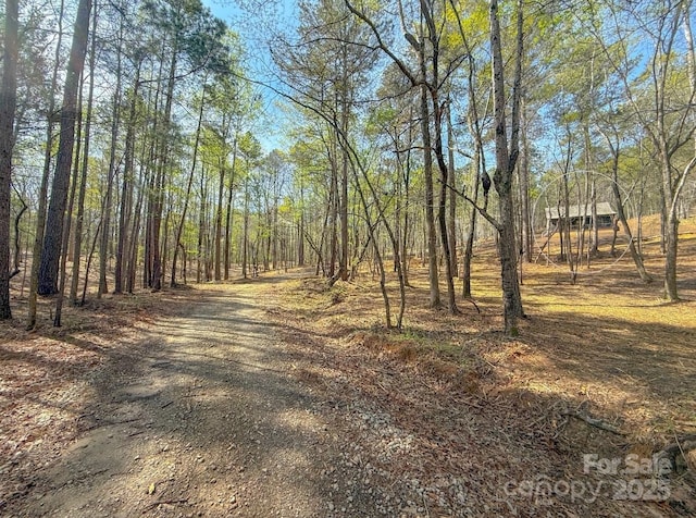 8333 Catawba Cove Dr, Belmont, NC 28012 - view of dirt / gravel driveway