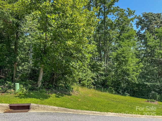 195 Carriage Crest Dr, Hendersonville, NC 28791 - photo 1