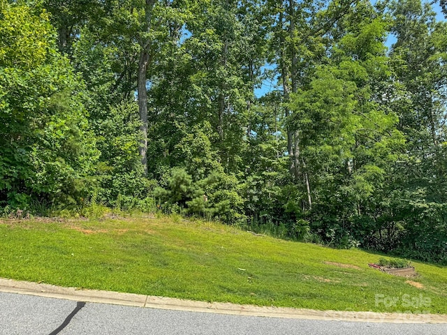 195 Carriage Crest Dr, Hendersonville, NC 28791 - photo 2