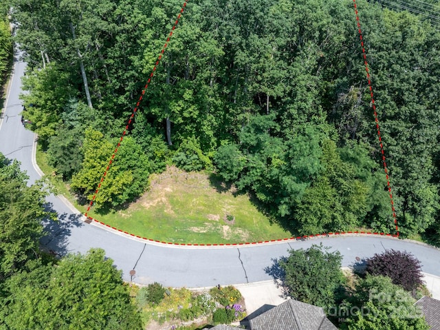 195 Carriage Crest Dr, Hendersonville, NC 28791 - photo 7