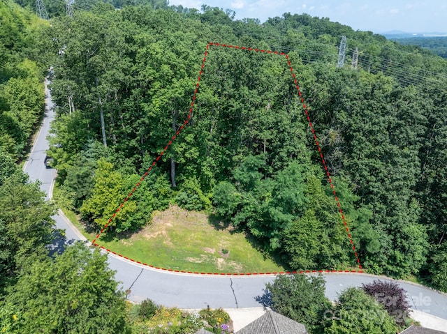 195 Carriage Crest Dr, Hendersonville, NC 28791 - photo 8