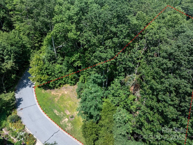 195 Carriage Crest Dr, Hendersonville, NC 28791 - photo 9