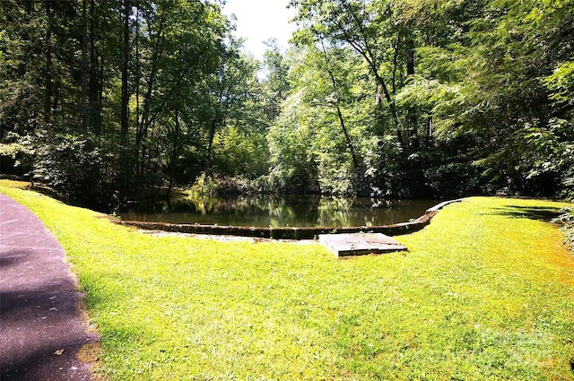 0 Sherwood Dr, Flat Rock, NC 28731