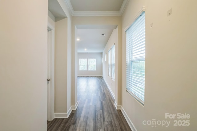 345 Hyssop Ct, Fort Mill, SC 29715 - photo 5