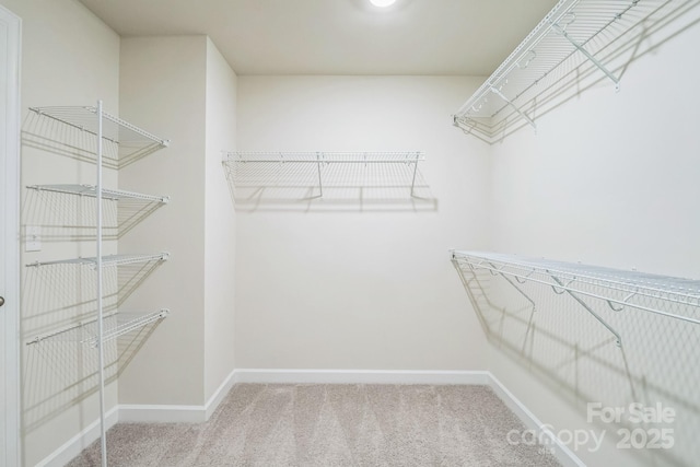 345 Hyssop Ct, Fort Mill, SC 29715 - photo 18