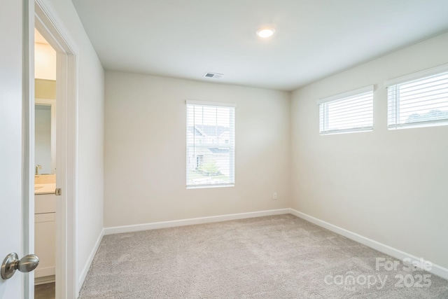 345 Hyssop Ct, Fort Mill, SC 29715 - photo 19