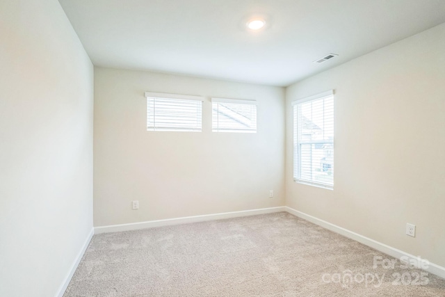 345 Hyssop Ct, Fort Mill, SC 29715 - photo 20