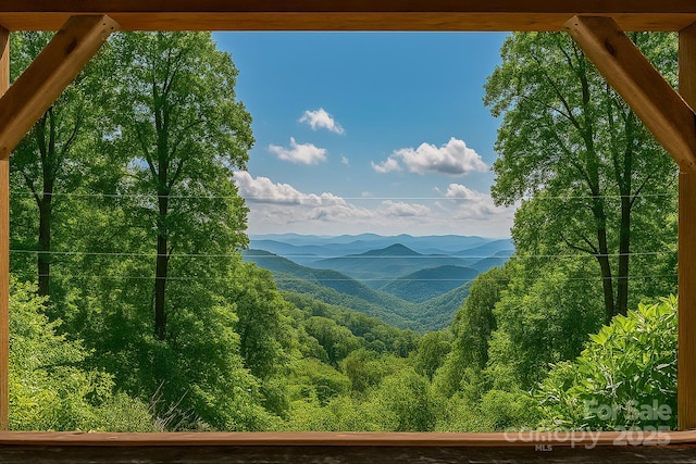 55 Bearwallow Rd, Leicester, NC 28748 - photo 2