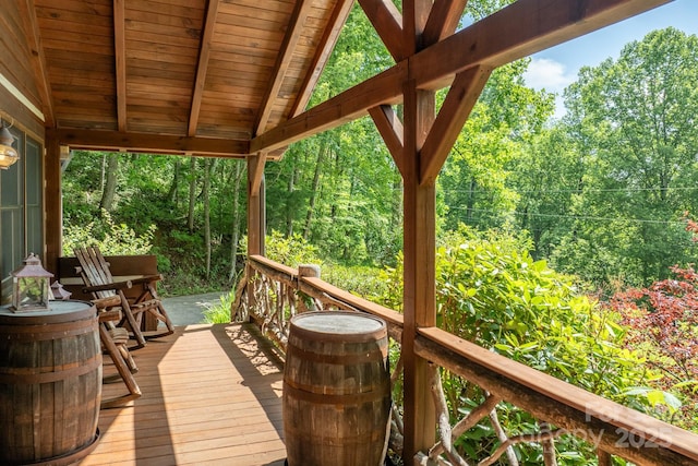 55 Bearwallow Rd, Leicester, NC 28748 - photo 8