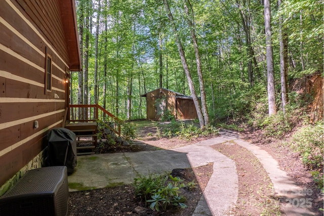 55 Bearwallow Rd, Leicester, NC 28748 - photo 35