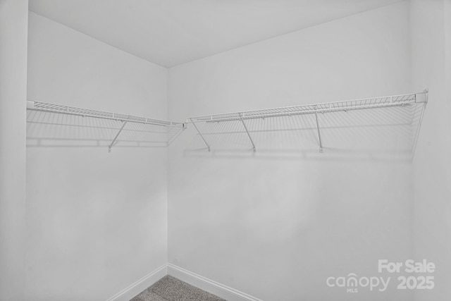 1306 Moretz Ave, Charlotte, NC 28206 - photo 17