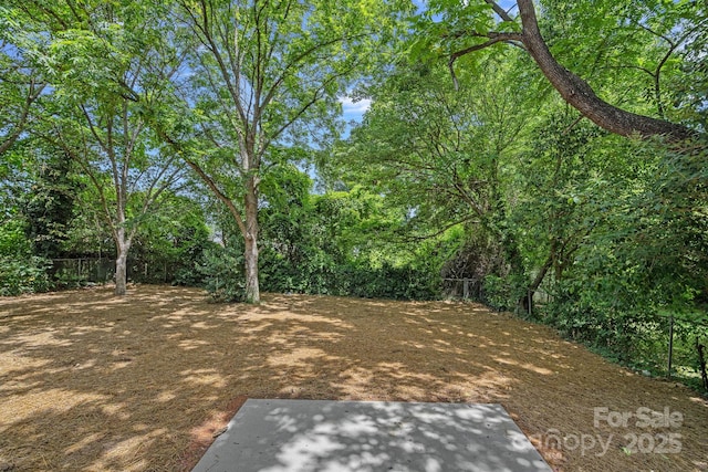 1306 Moretz Ave, Charlotte, NC 28206 - photo 24