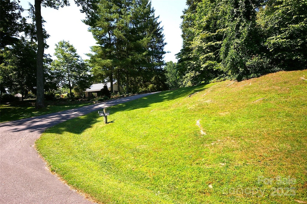 390 Sherwood Dr, Flat Rock, NC 28731
