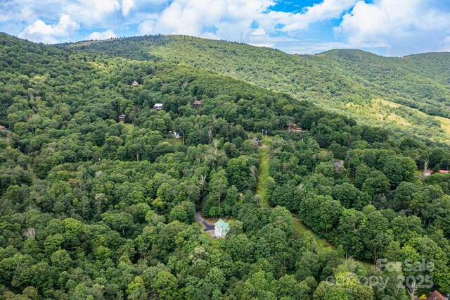 155 Mule Trail Dr, Bakersville, NC 28705 - photo 28