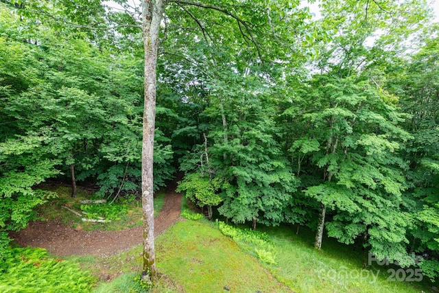 155 Mule Trail Dr, Bakersville, NC 28705 - photo 29