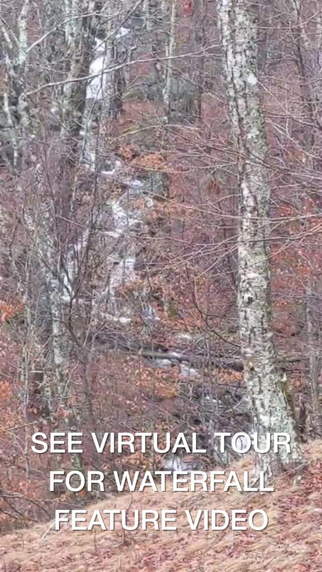 155 Mule Trail Dr, Bakersville, NC 28705 - photo 36